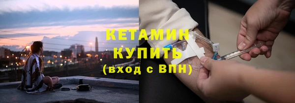 хмурый Верея