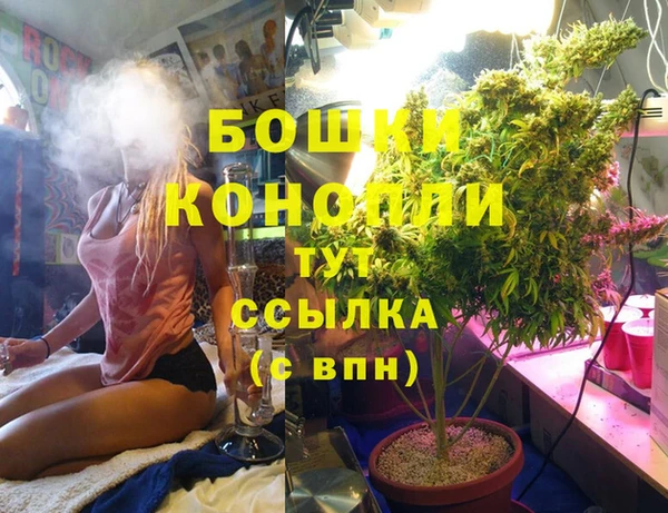 мет Бородино