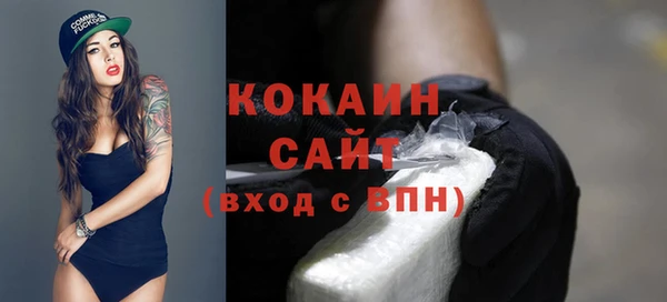 мет Бородино