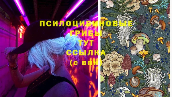хмурый Верея