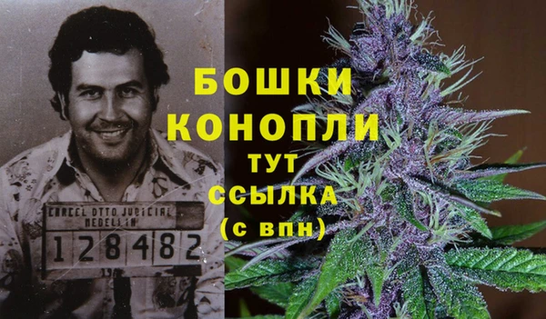 мет Бородино