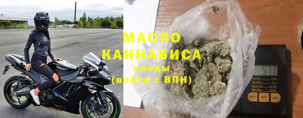 хмурый Верея