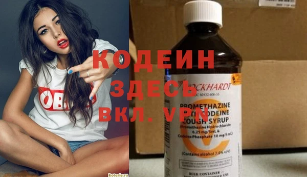 хмурый Верея